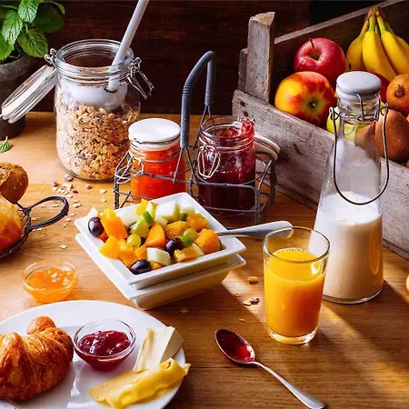 イビス ガール グルノーブル