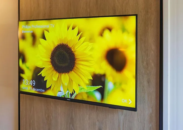 Готель Ibis Gare Гренобль